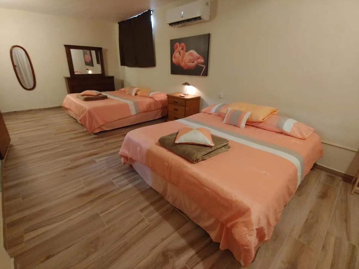 Apartment Garden View Guest House . Arecibo