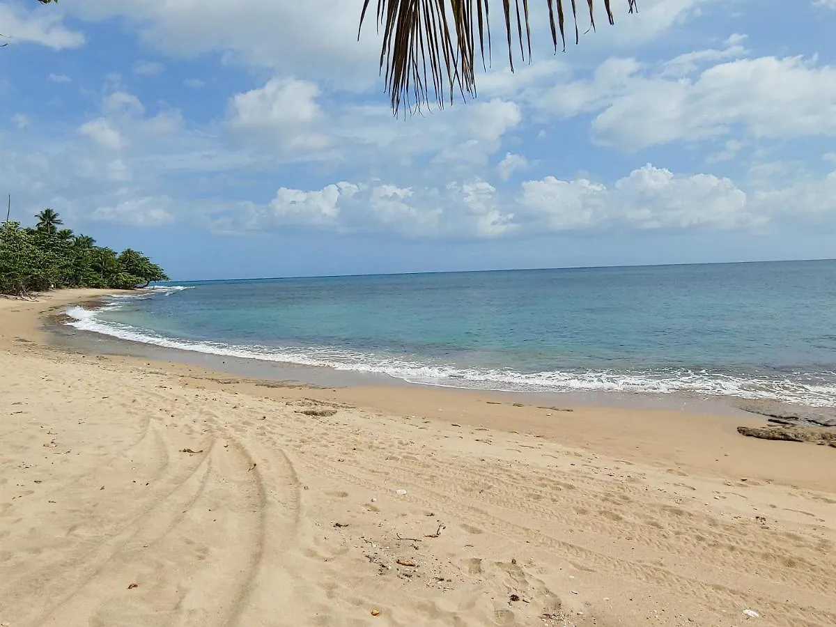 Garden View Guest House . Arecibo Apartment